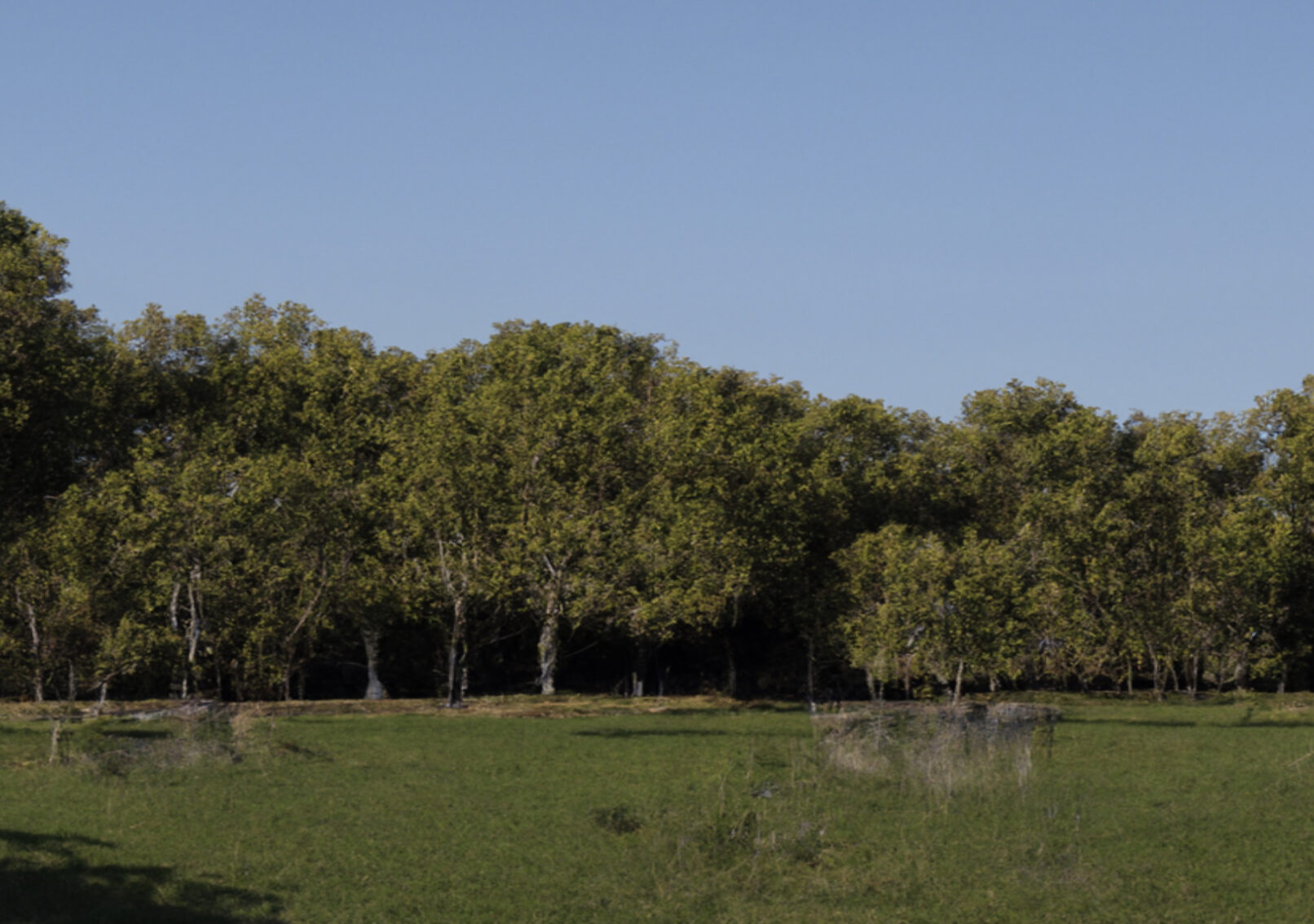 still from the short film our time