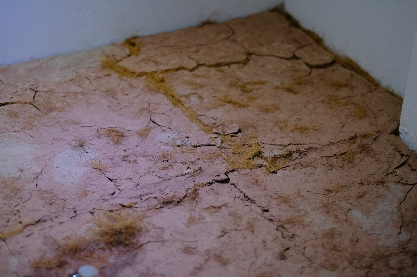 detail of cracked clay mixed with coconut fiber
